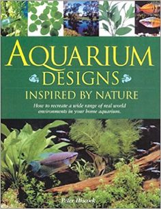 25 best beginner fish