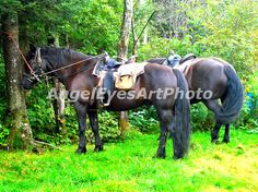2 Serviettes en papier Cheval Poulain Decoupage Paper Napkins Running Horses