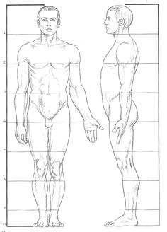 blender male template male body drawing template google search croquis blender male template male body drawing template google search croquis