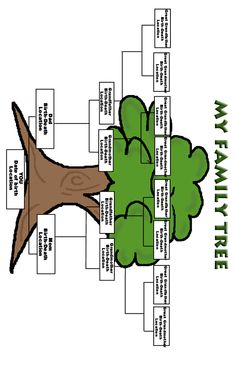 family tree generator for kids