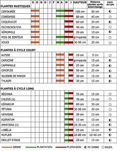 calendrier graine et plante calendrier graine et plante