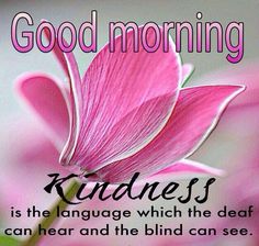 227 best gd mrng noon evng nght images on pinterest in 2018 good