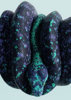 Reptil tendencia también anillo serpiente lagarto o camaleón para la selección