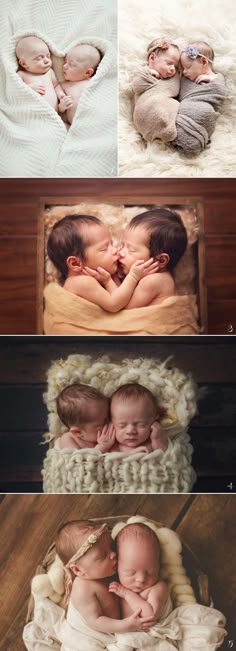 twin baby photoshoot