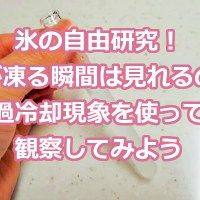 自由研究 中学生 自由研究 中学生
