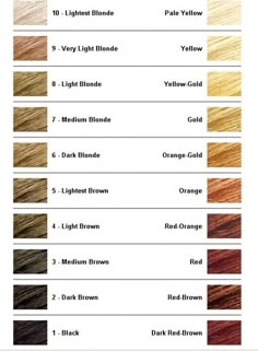 A Hair Color Level Chart Ranging From 1 To 10 Cosmetology Charts Do You Dream Of Blonde Hair If Have Dark Need To Use Bleach And Needs Be Used Properly Learn The Tricks Trade For Stunning