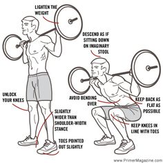 power squat anatomy exercise pinterest squat anatomy and muscles full squat form