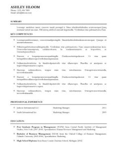 legal resume template