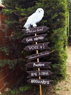 ORGANISER UNE FETE HARRY POTTER