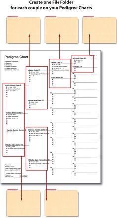 family tree lesson plans large tree templates for designing a