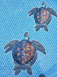 Mosaic Tile Sting Rays Ray Swimming Pool wall patio walk drive way table top