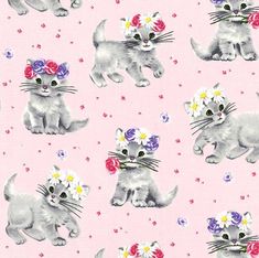 Adorable Cats /& Kittens Allover Cotton Fabric 1//2 Yard 1//2 Yard X 44 Great for Quilting, Sewing, Craft Projects, Quilt, Throw Pillows /& More