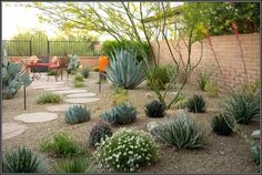 Desert Landscape Ideas Landscaping Rock Pathway In Are You New To Landscaping We Have Covered With Some Easy Ideas For Beginners Get Started These Design Tips Today