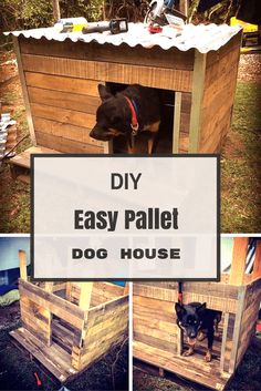 easy dog house plans weatherproof 21 awesome diy dog houses with free stepbystep plans easy diy dog house plans crafts pinterest houses easy dog house plans weatherproof 21 awesome diy dog houses with free stepbystep plans easy diy dog house plans crafts pinterest houses