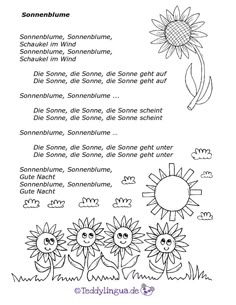 Sonnenblumenlied - Die besten Sonnenblumenlied verglichen!