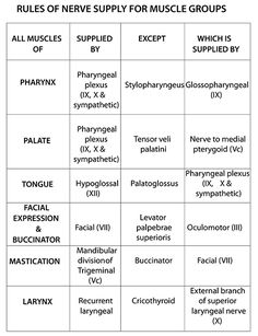 Seems Action of facial muscles agree with Apologise, Action of facial muscles