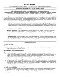 executive managing director resume how to draft an executive managing director resume download this executive managing director resume template now