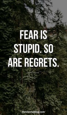 1225 best business quotes for success images on pinterest in 2018