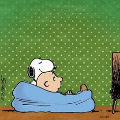 PEANUTS SNOOPY Retrò Ufficiale e Tote bag in tela WOODSTOCK