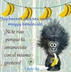 1209 mejores imágenes de
