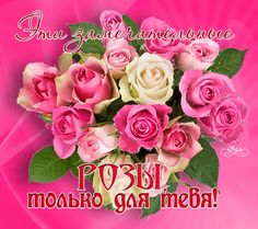 Замечательные розы для тебя