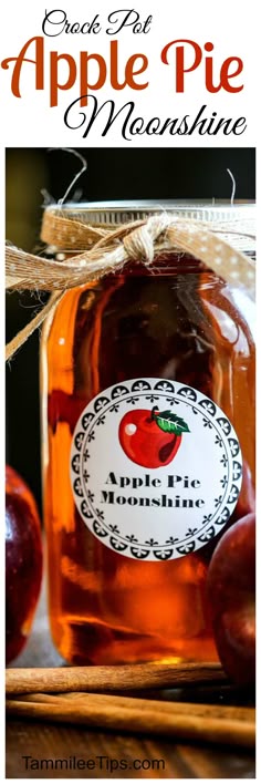 Crock Pot Lemonade Moonshine Recipe Everclear Diy Birthday And Crock Pot Apple Pie Moonshine