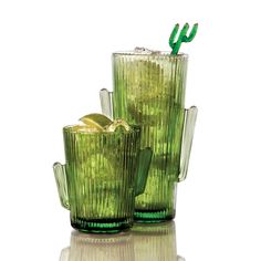 81 best cactusthings images on pinterest succulents cacti and