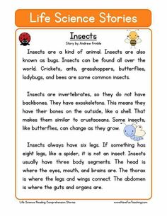 venn diagram on carnivores omnivores and herbivores venn diagram worksheets ks1