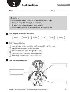 83 Ideas De Natural Science Fichas Ciencias Naturales 4 Ciencia Natural