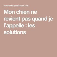 100 trucs à apprendre à son chien