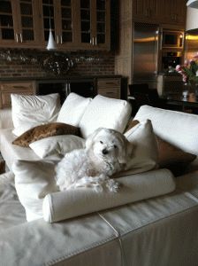 Most Comfortable Couches most comfortable couch ever - doss living room furniture sets Most Comfortable Couches most comfortable couch ever - doss living room furniture sets