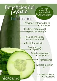 beneficios de pepino verde beneficios de pepino verde