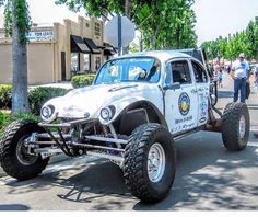 114 Best Long Travel Beetle Project Images Motorcycles Bird Cage