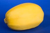 Calories In True Food Kitchen Spaghetti Squash Casserole Calories In True Food Kitchen Spaghetti Squash Casserole