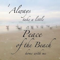 297 best she sells seashells images beach quotes thinking sea shell quotes