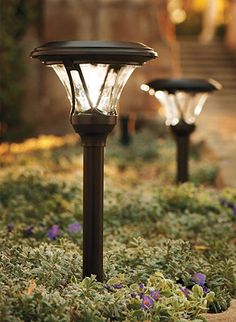 1924 Best Solar Garden Accent Lighting Images On Pinterest Solar Ed Landscape Path Lighting Is Growing In Pority Among Homeowners Also Like The Ground Cover