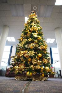 188 Best Christmas Trees By Show Me Decorating Images On Pinterest Elegant Christmas Tree Decorating Ideas Gold