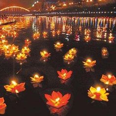 Asian candle lantern floral Midwest facial and plastic surgery