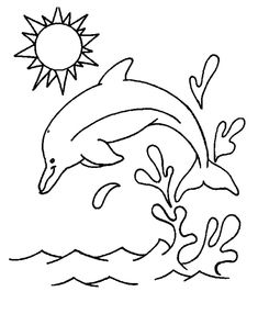 dolphin coloring dolphin images free printable dolphin mammals
