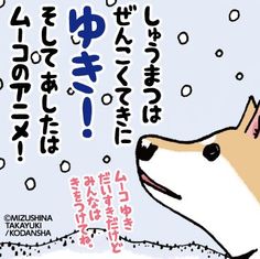 ムーコ のアイデア 16 件 ムーコ いぬ 犬 ムーコ のアイデア 16 件 ムーコ いぬ 犬
