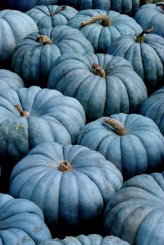 Blue pumpkins Фото Настенный Коллаж, Синяя Плитка, Синие Картинки, Стена Для Плакатов, Идеи Для Организации Вещей, Осенние Тыквы, Еда На Хэллоуин, Ультрамарин, Поздравления С Хеллоуином