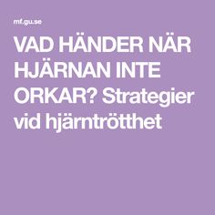 Bästa dating apps för björnbär