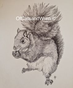A Gallery Of The Original Wildlife Artwork Produced By Cats And Wren Designs Watercolours Pen Ink Embroidery