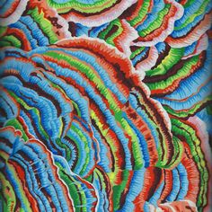 Kaffe Fassett Collective Spring 2016 ZANY NATURAL by XL FQ or 25cm
