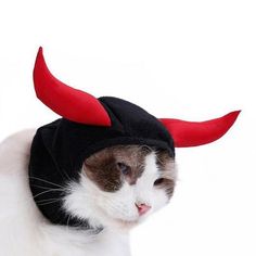 lapus 2 Pack Halloween Pet Bat Wings Cat Dog with 2 Pumpkins bell Bat Vampire Costume Halloween Accessory for Puppy Dog and Cat