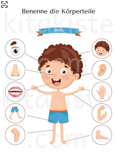 Korperteile kennenlernen im kindergarten