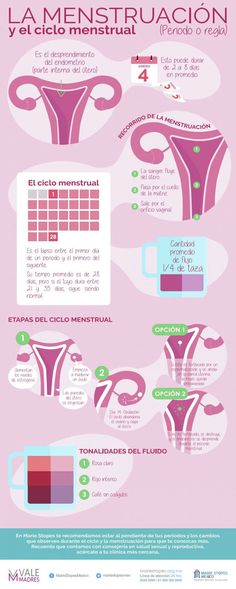 Las Mejores 13 Ideas De La Mestruacion Educación Para La Salud Salud De La Mujer Ciclo Menstrual