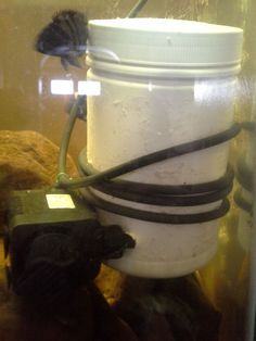 101 best aquarium filter