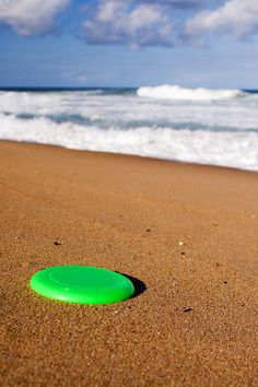 60 Best Ultimate Frisbee Images Disc A Dog Love To Play Beach Frisbee Spaweeksummer Pink Summer Fun Time