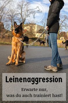 Kennenlernen kein interesse